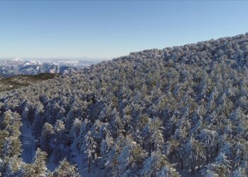 Kazdağı Milli Parkı Beyaza Büründü
