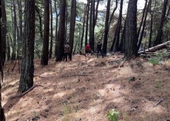 Kazdağları’ndaki orman yangını söndürüldü