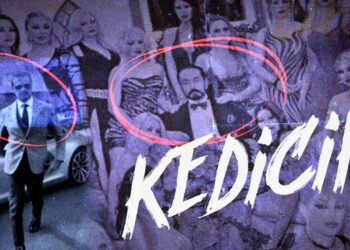 ‘Kedicik’ Belgeseli Yayından Kaldırıldı