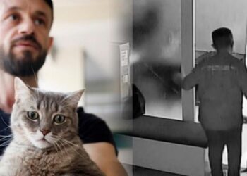 Kediyi Ölümüne Döven Çocuk Gözaltına Alındı