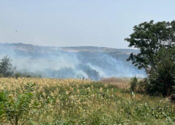 Keşan Yeşilköy’deki yangın korkuttu