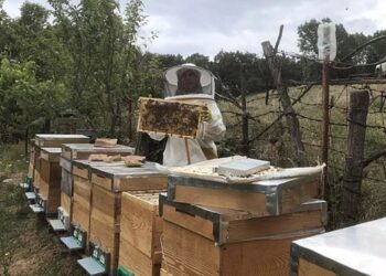 Kırklareli’nde Arıcılık Kursu Başladı