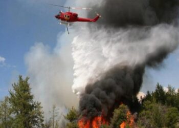 Kocaeli İtfaiyesi orman yangınlarına karşı uyardı