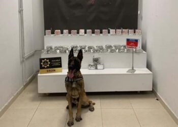 Kocaeli’de 21 Kilogram Eroin Ele Geçirildi