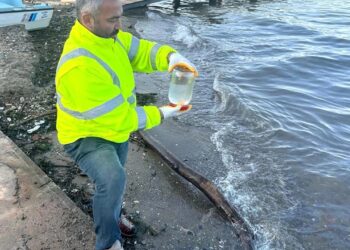 Kocaeli’de Denizde Kötü Koku Etkili Oluyor