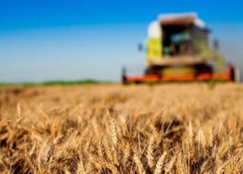 Kocaeli’de Tarımsal Dönüşüm: Atıl Araziye Can Veriliyor!