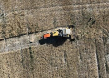 Konya yerli tohum için AR-GE’yi hızlandırdı