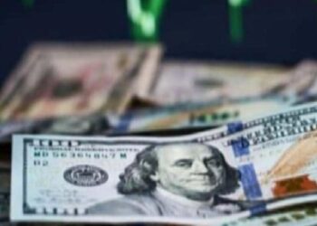 Korkutan dolar varsayımı