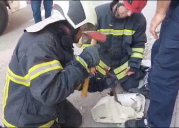 Lavaboya Sıkışan Kedi Yavrusu Kurtarıldı