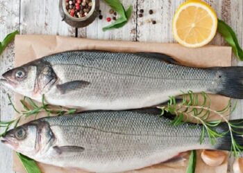 Levrek ihracatın zirvesinde!