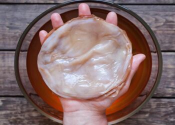 Lise Öğrencisi Mantar Atıklarından Deri Elde Etti