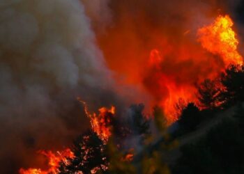 Marmaris’teki Orman Yangının Sebebi Ateşe Verilen Cesetmiş!