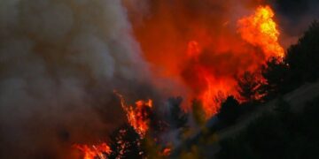 Marmaris’teki Orman Yangının Sebebi Ateşe Verilen Cesetmiş!