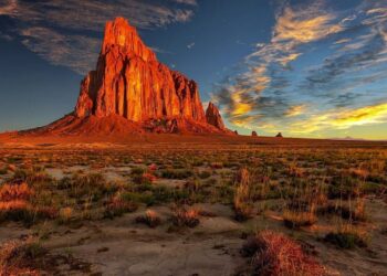 Meksika’da 8 Kişi Hayatını Kaybetti