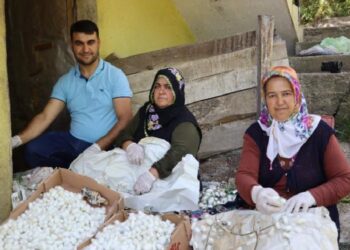 Meskenlerde üretilen 1 kilo kozadan 400 lira kazanıyorlar