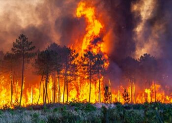 Meteorolojiden Yangın Uyarısı Geldi