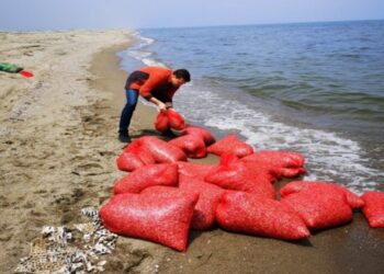 Mudanya’da 5,5 Ton Yasak Alan Kum Şırlanı Ele Geçirildi!