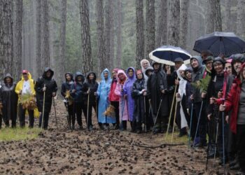 Mudanyalı Doğaseverler Doğa Yürüyüşünde Birleşti