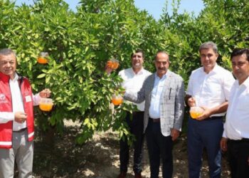 Narenciyede kalıntı sorunu kalmayacak