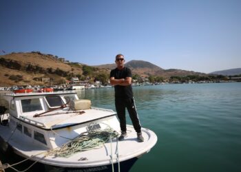 Nesli Tehlike Altında Boz Yunus Türk Balıkçının Oltasına Takıldı