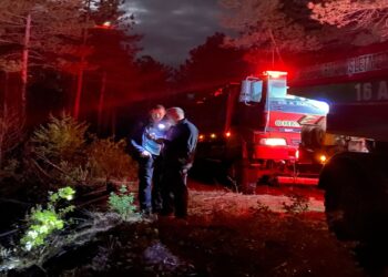 Orhaneli’de Orman Yangını Kontrol Altına Alındı