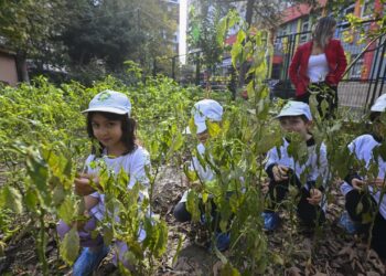 Özlem Öğretmen Öğrencilerine Çevre Bilinci Aşılıyor