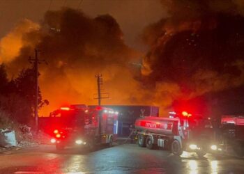 Palet Fabrikasında Yangın Çıktı