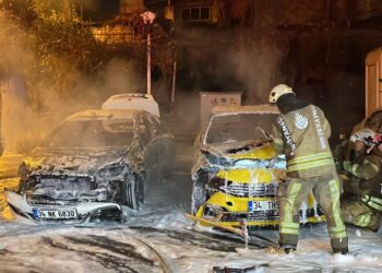 Park Halindeki 2 Otomobil Yandı