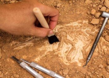 Roma Döneminden Kalma 1800 Yıllık Mermer Stel Bulundu