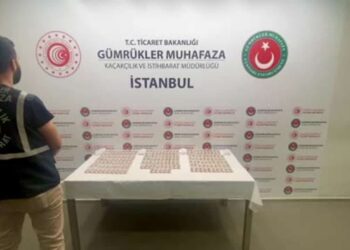 Sabiha Gökçen Havalimanı’nda Bin 240 Canlı Arı Yakalandı