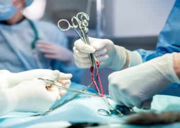 Sahipsiz Kedinin Midesindeki Saç Tokası Cerrahi Müdahale ile Çıkarıldı