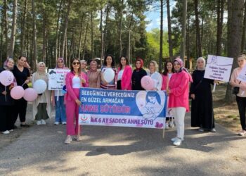 Sakarya’nın Ferizli İlçesinde Anneler Emzirme Ve Beslenme Konularında Bilgilendirildi