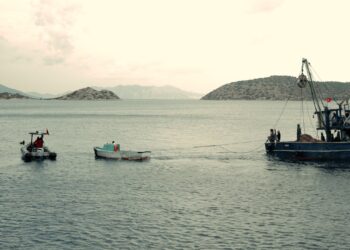 Samsung Türkiye Ve Deniz Koruma Derneği İş Birliğiyle Deniz Kirliliğiyle Mücadele Ediliyor