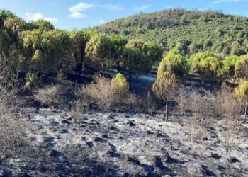 Sancaktepe’de Çıkan Yangın Kontrol Altına Alındı