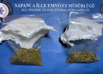Sapanca’da Uyuşturucu Ticareti Yapan Zanlı Tutuklandı