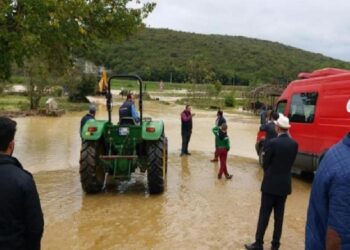 Selzede çiftçilere Kocaeli’den takviye