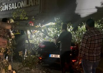 Şiddetli Rüzgar Nedeniyle Kırılan Ağaç Dalı Bir Otomobilde Hasara Neden Oldu