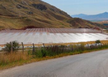 Sivas’ın cam serasında sona hakikat