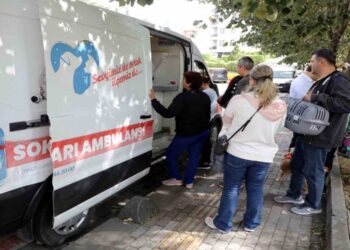 Sokak Hayvanlarına Özel Ambulans Hizmeti