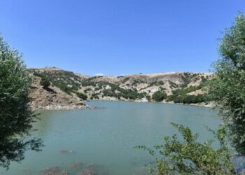 Sulu tarım projelerinde değerli adım