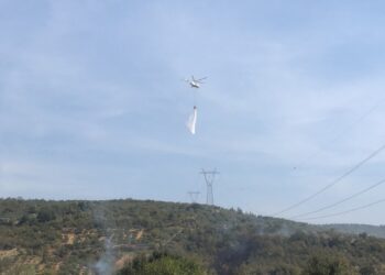 Tarım Arazisindeki Yangın Kontrol Altına Alındı