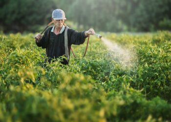 Tarım Topraklarında Kimyasal Tehlikesi
