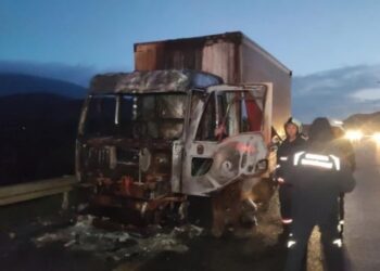 Tavuk Yemi Yüklü Kamyon Yandı