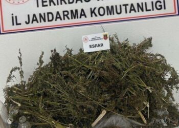 Tekirdağ’da uyuşturucu ticareti argümanıyla 4 kuşkulu yakalandı