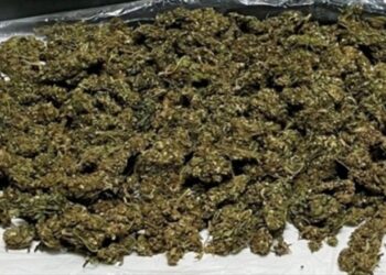 Tekirdağ’da Uyuşturucu Operasyonunda 3 Zanlı Tutuklandı