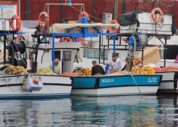 Tekirdağlı Balıkçılar Poyraz Engeliyle Denizden Uzak