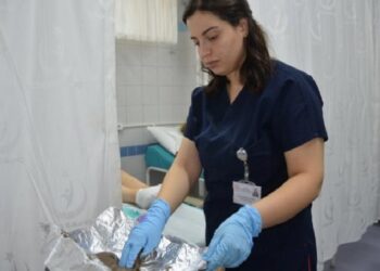 Tıbbi çamur ile ağrısız şifa