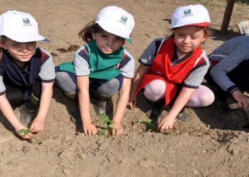 “Toprak Ve Çocuk” Projesine İş Bankası’ndan Destek