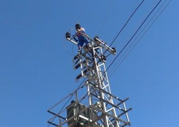 Toroslar EDAŞ Kuş Çarpılmalarına Karşı Başarılı Çalışma Yürütüyor