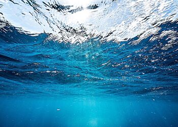 “Türkiye Denizlerinde Rekor Sıcaklık Değerleri: Deniz Ekosistemlerine Etkileri Araştırılıyor